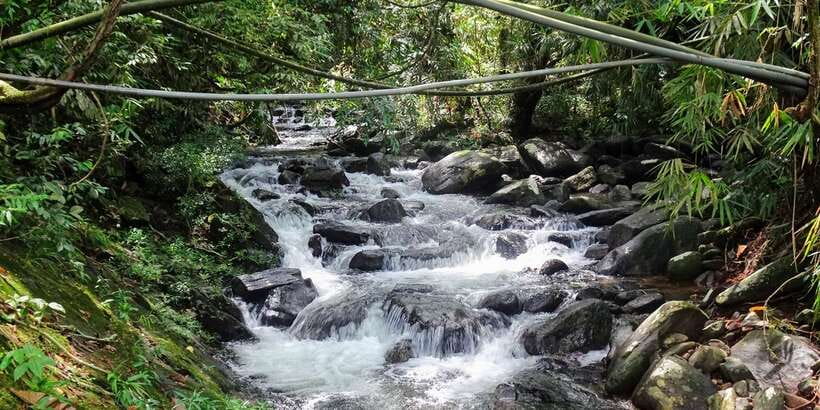 Sinharaja Rainforest Private & Customize Tour - Price and value: is $110 per person fair for a full day?
