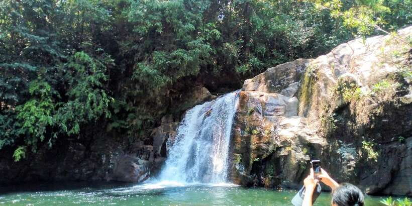 Sinharaja Rainforest Private & Customize Tour - Getting picked up in the south, then crossing into the rainforest world