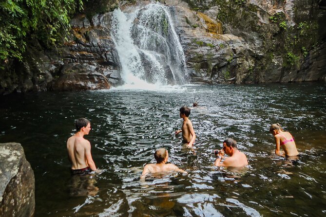 Sinharaja Rainforest Private Half Day Tour with Licensed Guide - Key highlights to look for