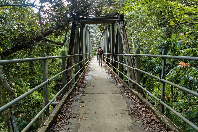 Sinharaja Rainforest Private Half Day Tour with Licensed Guide - Why Sinharaja’s footpaths feel different than a quick sightseeing stop