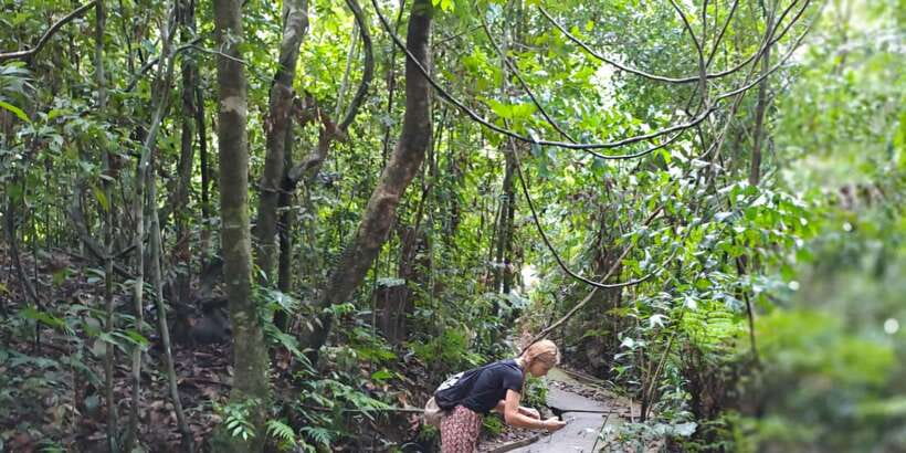 Sinharaja Rainforest Tour - Private group format and the guide quality factor