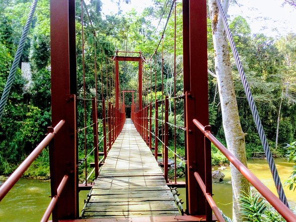 Sinharaja Rainforest Tour - Inside Sinharaja: what your 3 hour blocks feel like on the ground