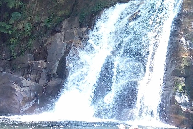 Sinharaja Rainforest Tour - Food and comfort during a long forest day