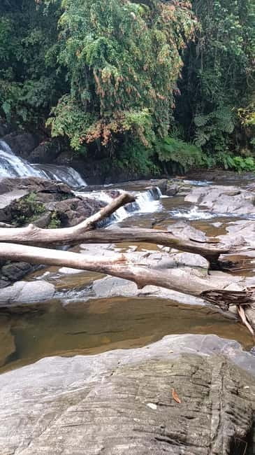 Sinharaja Rainforest: Tour with 5 Waterfalls Trek - Key Highlights You Can Actually Use