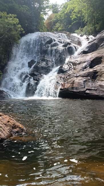 Sinharaja Rainforest: Tour with 5 Waterfalls Trek - How the Pickup and Drive Sets Up the Day