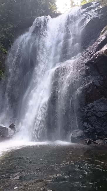 Sinharaja Rainforest: Tour with 5 Waterfalls Trek - Sinharaja Rainforest Trek: 1 Km of Climbing and a Tracker Who Looks Closely