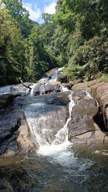 Sinharaja Rainforest: Tour with 5 Waterfalls Trek - Transport, Timing, and How the 7 Hours Actually Feel
