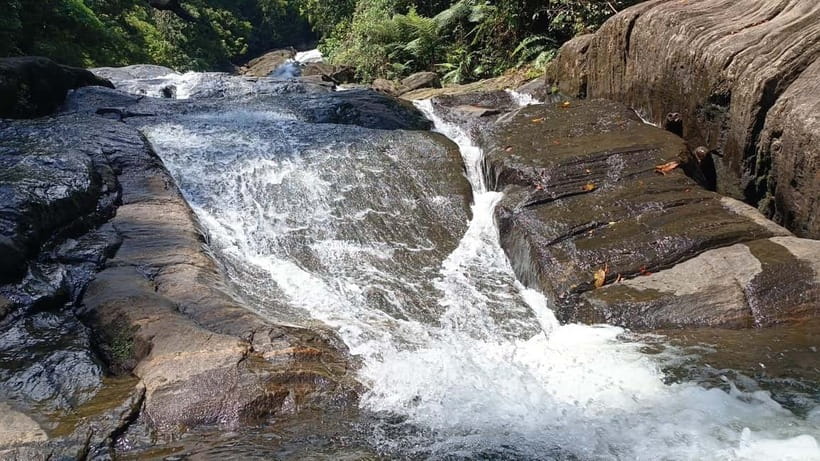 Sinharaja Rainforest: Tour with 5 Waterfalls Trek - Price and Value: What You Get for Around $95