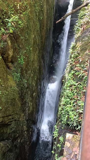 Sinharaja Rainforest: Tour with 5 Waterfalls Trek - Who Should Book, and Who Should Pass