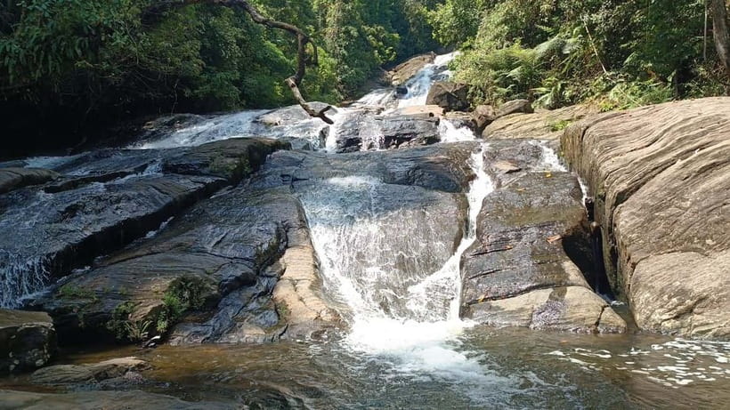 Sinharaja Rainforest: Tour with 5 Waterfalls Trek - Duli Ella Waterfall: Your First Taste of the Action