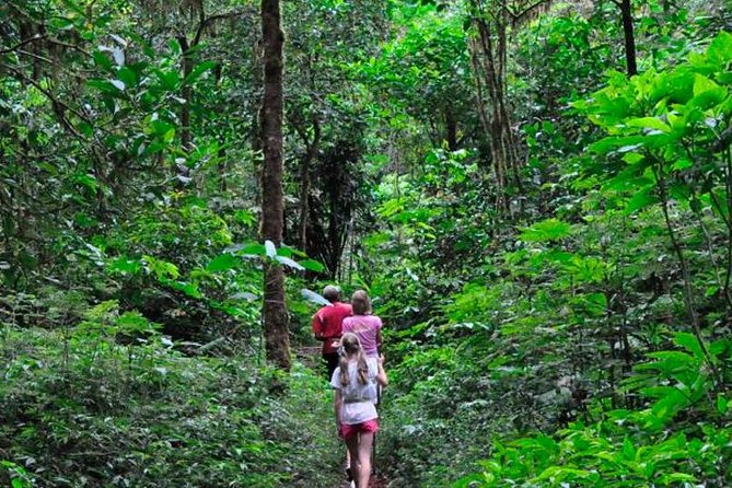 Sinharaja Rainforest Trekking Private Day Trip with Local Lunch - Key things to know before you go