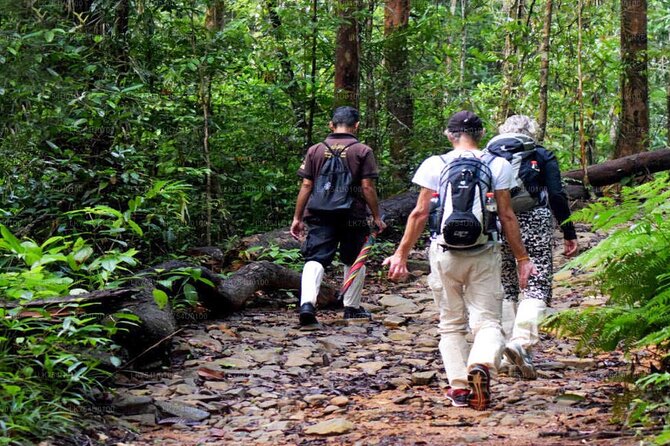 Sinharaja Rainforest Trekking Private Day Trip with Local Lunch - Sinharaja Forest Reserve: what makes it worth a full day