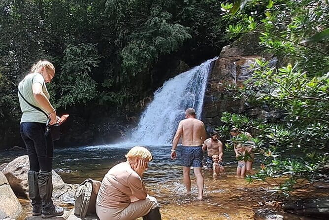 Sinharaja Rainforest Trip - Key Highlights Worth Planning For