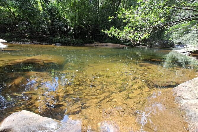 Sinharaja Rainforest Trip - Entering Sinharaja Forest Reserve, the Real UNESCO Part