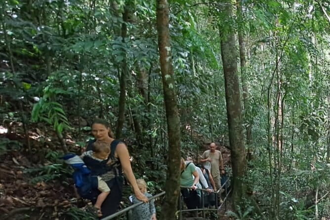 Sinharaja Rainforest Trip - Forest Lunch With Views, Not a Random Quick Bite