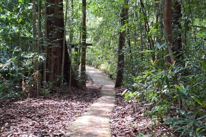 Sinharaja Rainforest Trip - The 8:00 AM Pickup From Hikkaduwa and Beyond