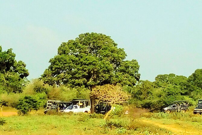 Sinharaja Rainforest & Udawalawe Safari - 2 Days, All Inclusive - How this 2-day Sinharaja and Udawalawe plan really works