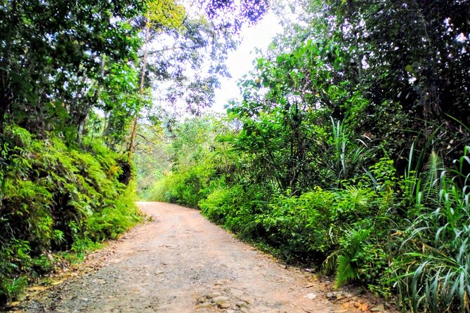 Sinharaja Rainforest & Udawalawe Safari - 2 Days, All Inclusive - Price and value: is $340 per person a fair deal?