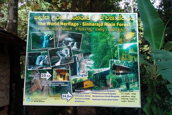 Sinharaja Rainforest & Udawalawe Safari - 2 Days, All Inclusive - Logistics you’ll feel on the ground