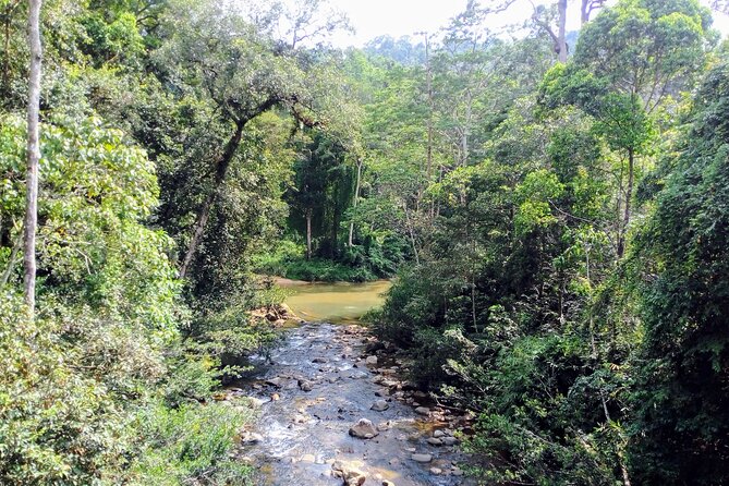 Sinharaja Rainforest & Udawalawe Safari - 2 Days, All Inclusive - Who this tour is best for