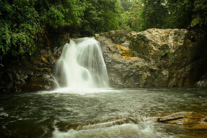 Sinharaja Short tour with 5 waterfalls tour or Adventure tour - Two waterfall swims and natural fish therapy