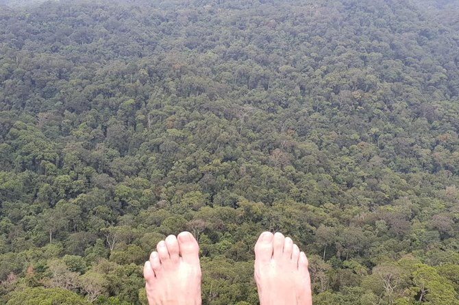 Sinharaja Short tour with 5 waterfalls tour or Adventure tour - Wildlife spotting that feels personal: langurs, snakes, and more