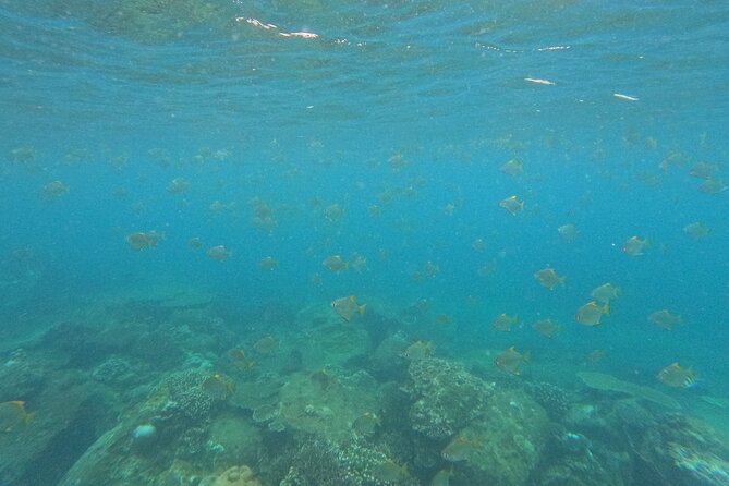 Snorkeling at Angel Rock - Angel Rock near Nilaveli, why this site is a smart choice