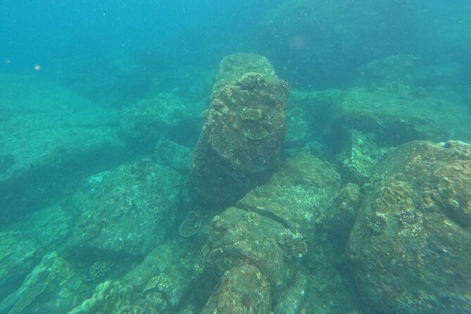 Snorkeling at Angel Rock - Stop 1 at Angel Rock, corals, fish, and what you’ll likely see