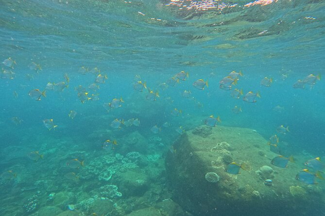 Snorkeling at Angel Rock - The 2-hour plan, meeting point, and how the day actually flows