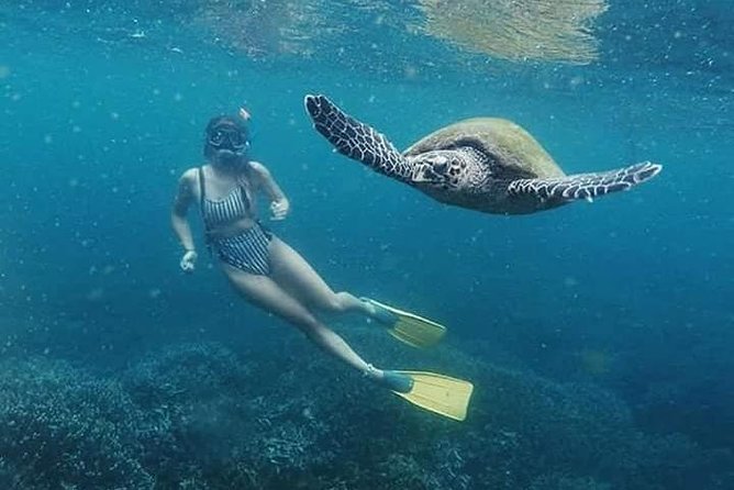 Snorkeling at Pigeon Island - Pigeon Island National Park: the reef experience you’re booking