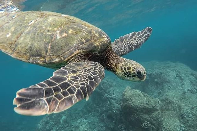 Snorkeling at Pigeon Island - Getting out there with a small-group vibe and less stress