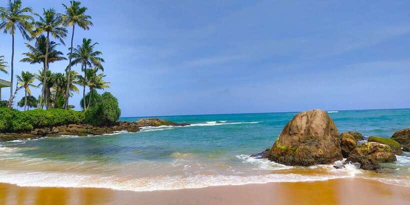 Snorkeling in Hikkaduwa - Marine life odds: corals, fish, and sea creatures