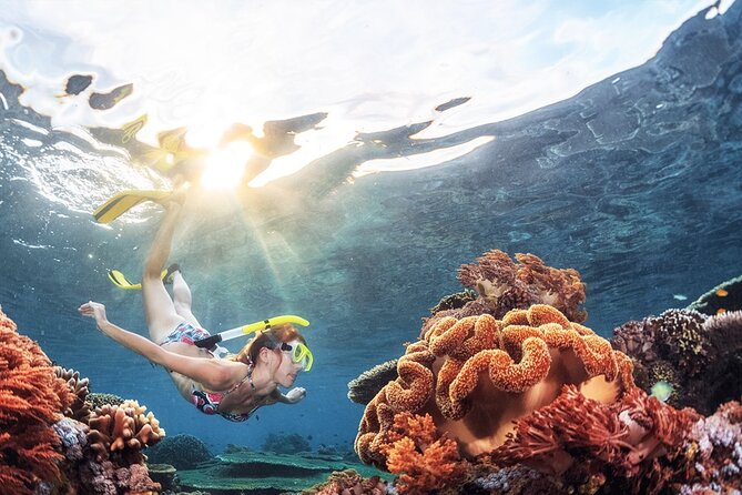 Snorkeling in Trincomalee - Key Points to Know Before You Go