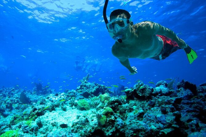 Snorkeling in Trincomalee - Getting Help Underwater: Small Group Coaching and Safety