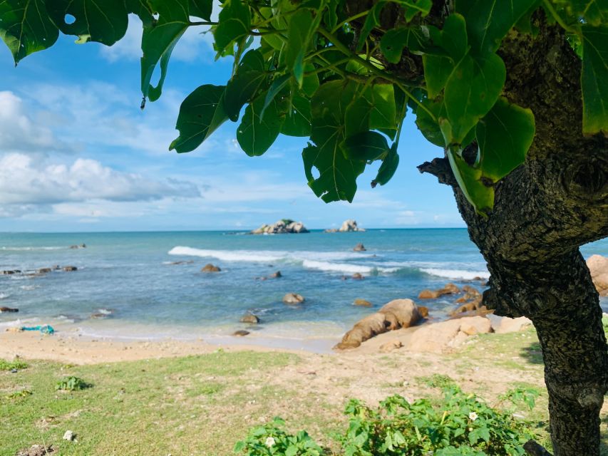 Snorkeling in Trincomalee - The Meeting Point Reality Check