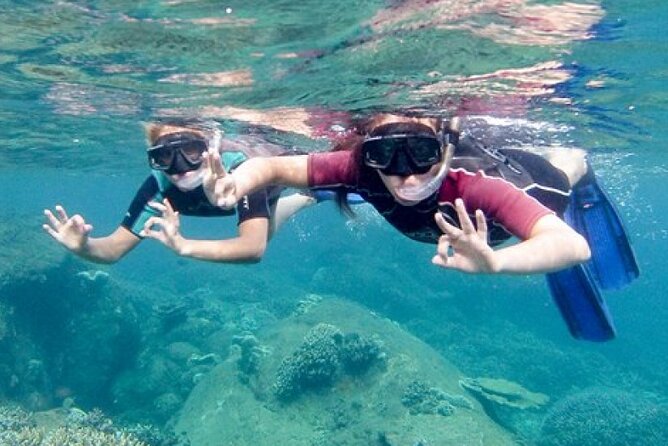 Snorkeling in Trincomalee - The 2-Hour Plan: What Happens From Start to Finish