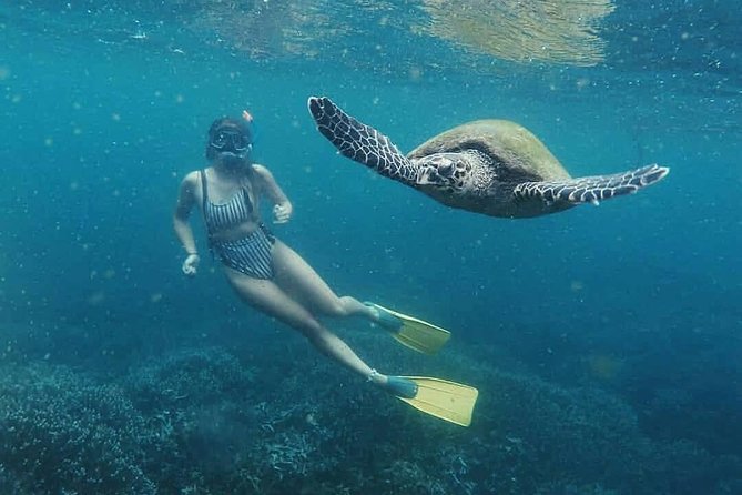 Snorkeling in Unawatuna - Key Highlights You Should Care About