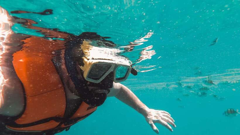 Snorkeling in Unawatuna - What You’ll See: Corals, Fish, and a Jungle-Beach Feeling