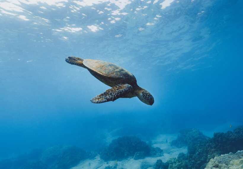 Snorkeling in Unawatuna - Boat Ride Reality Check: Waves Can Matter