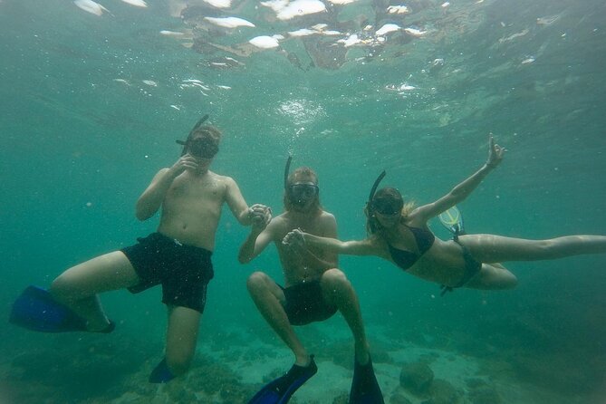 Snorkeling On Beautiful Rock Island - Unawatuna by Boat - Key things to know before you go