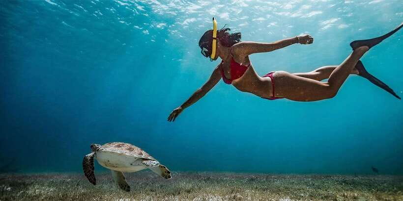 Snorkeling Trip from Polhena Beach, Matara, Sri Lanka - Key things to know before you go