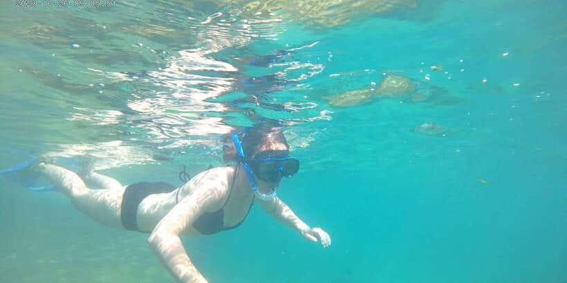 Snorkeling Trip from Polhena Beach, Matara, Sri Lanka - English-led guidance that matches your pace