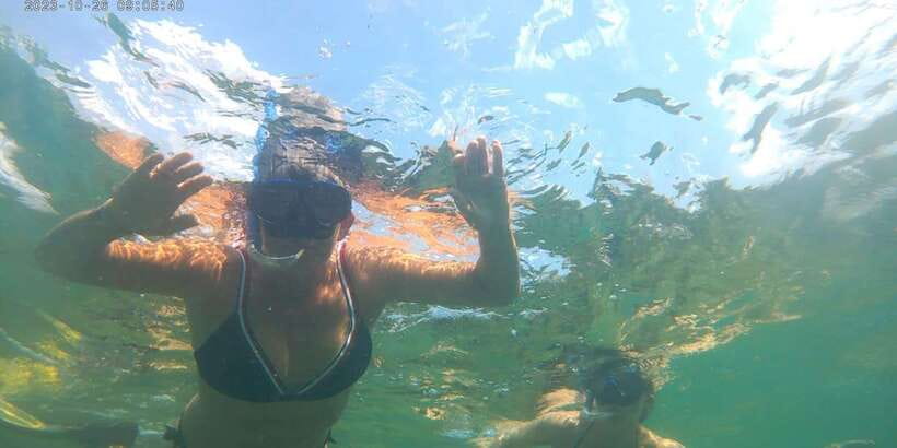 Snorkeling Trip from Polhena Beach, Matara, Sri Lanka - Price and value: $29 for a short wildlife-focused session