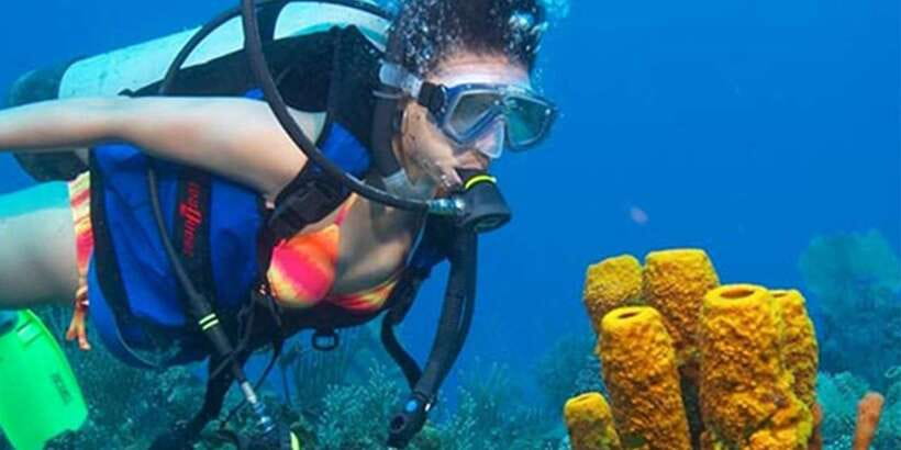 Snorkeling Trip from Polhena Beach, Matara, Sri Lanka - How the 1.5-hour run actually works (café time and a quick water window)