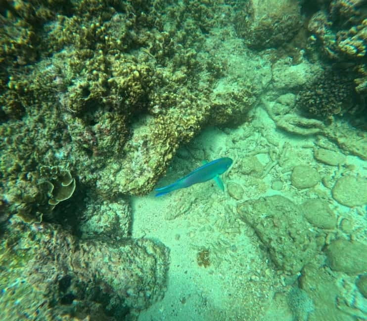 Snorkeling Trip To Angel Rock - Key Points to Know Before You Go