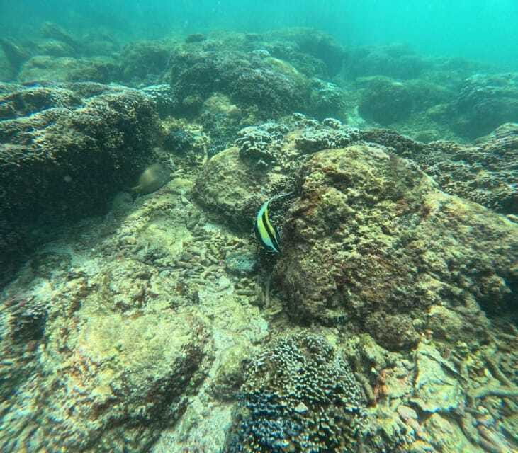 Snorkeling Trip To Angel Rock - Rules, Safety, and Who This Trip Fits Best