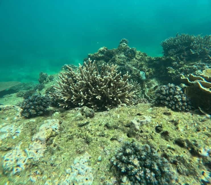 Snorkeling Trip To Angel Rock - The Real Show: Angel Rock Snorkeling Over Coral and Fish