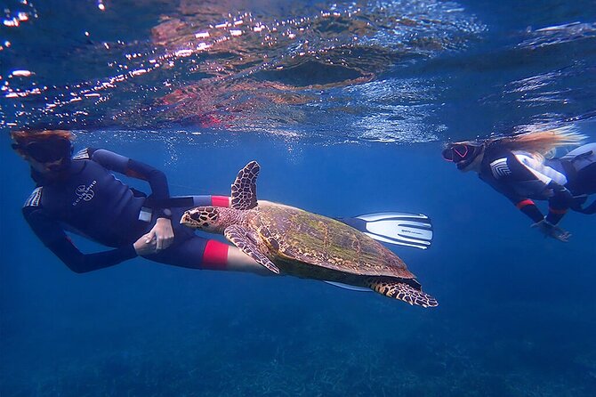 Snorkeling Trip to Pigeon Island - Who This Snorkeling Trip Fits Best