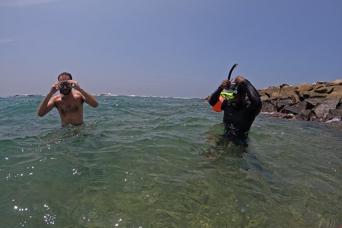 Snorkeling with Turtles in Mirissa - Coral care and the thoughtful eco moment