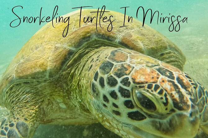 Snorkeling with Turtles in Mirissa - If the sea is rough: how your session stays workable